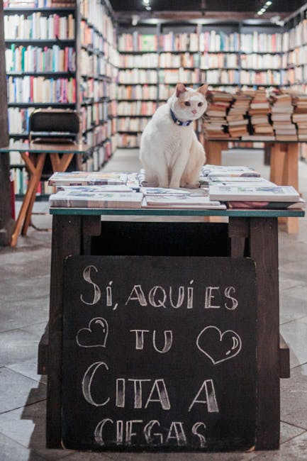 A cute cat sits in a cozy Mexico City bookstore surrounded by shelves of books. SIBO La Guía Definitiva